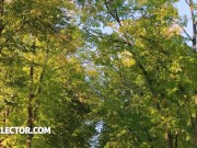 POV fuck Megan Fiore hot slut 1/16