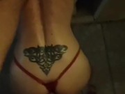 He came to help me get rid of mosquitos 1/16