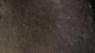 HotXWife: Sexy Video Chat With My Sexy Wife, Indian Sexy Wife