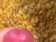 Viral “Vine” Video (aka Spicy Shortie) #12 - Another Cumpilation