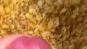 Viral “Vine” Video (aka Spicy Shortie) #12 - Another Cumpilation