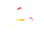 Birthday Girl Gets Her Wish 7/16