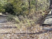 HALLOWEEN Scream Movie Trailer: Ghostface Pounds me in the Woods and makes me Scream 4/16