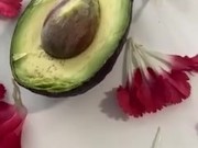 This one is for avocado lovers 10/16