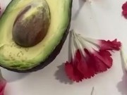 This one is for avocado lovers 11/16