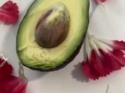 This one is for avocado lovers 12/16