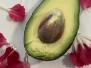 This one is for avocado lovers 14/16