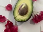 This one is for avocado lovers 2/16