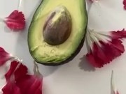 This one is for avocado lovers 3/16