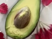 This one is for avocado lovers 9/16