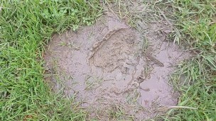 Cigarette Crush in Mud. Trampled and ground to nothing 👣👣