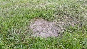 Slow Motion Cigarette Crush in Mud. Destroyed under my size 11 dirty boot 👣👣