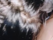 Bokep Indonesian Abg kampung 3/16