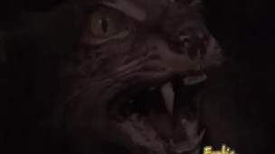 Gagged slave takes everything the mistress has planned for her