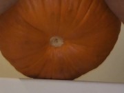 Halloween Pumpkin Fuck
