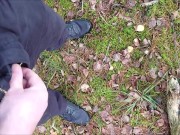 Pissing in the forest