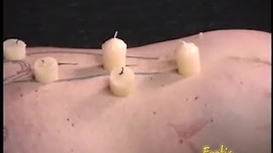 Horny stallion likes having kinky fun with a smoking hot babe