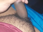Pau mole alongamento 2024