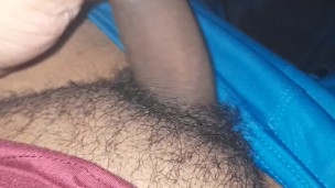 Pau mole alongamento 2024