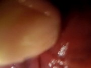 POV: Gulping you into the tip of my transverse