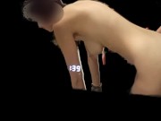 Doggy without background - Screenshot 6 of 16 - HD