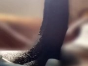 Look at that dick goo!