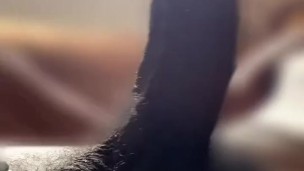 Look at that dick goo!