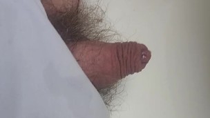 Pissing in the plastic pot