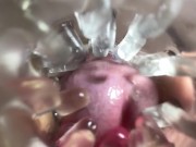 Close up camera in pussy. Sweet Cum inside pussy. 15/16