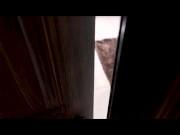 Seducing My Sexy Shy Stepmom Complete Series Luci Power