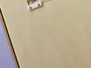 The horny behavior of ssacavoxxx / Wet 💦 16/16