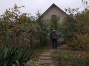 Walking in the yard 10/16