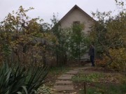 Walking in the yard 11/16