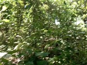 Taglibog sa tag init 1/16