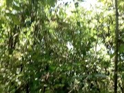 Taglibog sa tag init 10/16