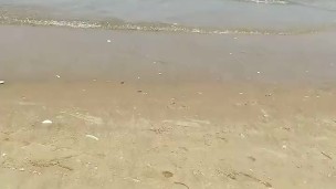 NUDE BEACH COSPLAY LIFEGAURD REALITY