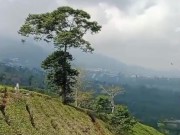 relax while enjoying a cup of coffee and beautiful views 5/16