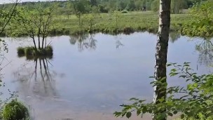 We got horny during the hike | PORN VLOG