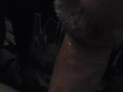 Trying to suck your dick in a quiet house full of people 6/16