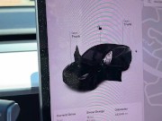 Brunette Bombshell Nicole Vaunt's Creampie Finale at Porn Dude's Personal Pit Stop! 5/16