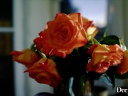 VIXENPLUS Hot babe Eva fucked hard 6/16