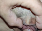 Moments not included in the video 5/16