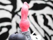 Nothosaur Graemen Review: A Knotted Wolf Dildo with Humongous Balls and Cumtube 1/16