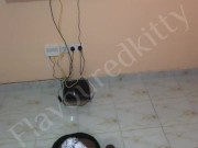 I Made Daddy's Dick Explode In My Mouth While Gaming!!!!