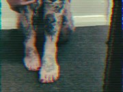 Another Camille compilation 11/16