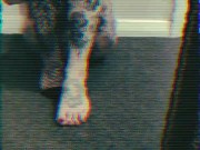 Another Camille compilation 9/16