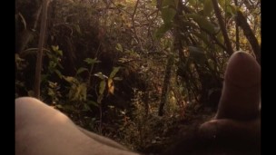 Tranquilidad absoluta