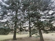 STOP WATCHING! Go touch some grass with me :)