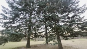 STOP WATCHING! Go touch some grass with me :)