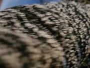 Committed to the Job 14/16